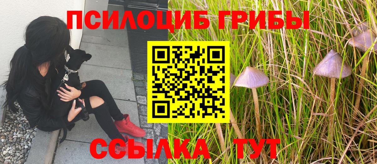 Псилоцибиновые грибы MAGIC MUSHROOMS Клинцы